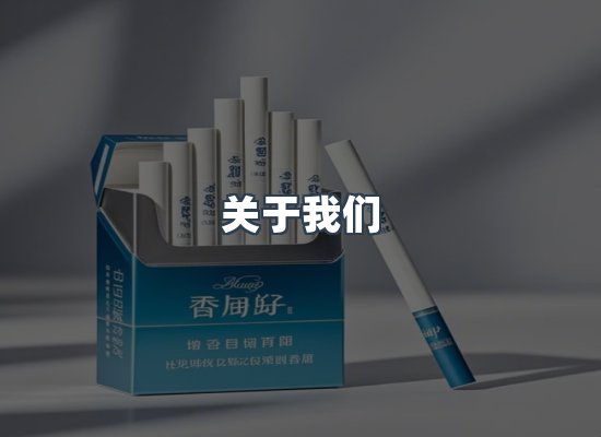 关于我们